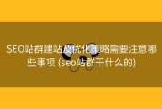 SEO站群建站及优化策略需要注意哪些事项 (seo站群干什么的)