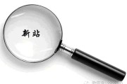 如何通过优化域名和内容提升网站排名并增加流量