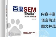做seo竞价烧钱吗 (seo 竞价)