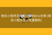 微信小程序怎样看ins 微信ins在哪 (微信小程序怎么批量删除)