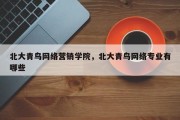 北大青鸟网络营销学院，北大青鸟网络专业有哪些