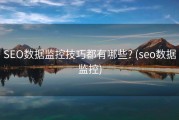 SEO数据监控技巧都有哪些? (seo数据监控)