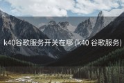 k40谷歌服务开关在哪 (k40 谷歌服务)