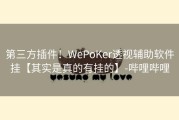 第三方插件！WePoKer透视辅助软件挂【其实是真的有挂的】-哔哩哔哩