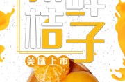 桔子SEO的运行 (桔子资讯)