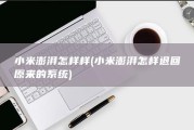小米澎湃怎样样 (小米澎湃怎样退回原来的系统)