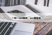 一对一seo培训，seo课培训