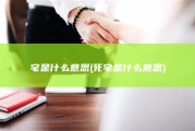 宅是什么意思 (死宅是什么意思)