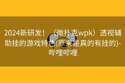 2024新研发！（微扑克wpk）透视辅助挂的游戏特色(原来是真的有挂的)-哔哩哔哩