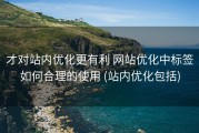才对站内优化更有利 网站优化中标签如何合理的使用 (站内优化包括)