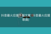 抖音最火应援手幅文案 (抖音最火应援歌曲)