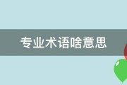专业术语有哪些 搜查引擎优化 SEO (专业术语有哪些英语)