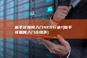 新手该如何入门SEO行业? (新手该如何入门古钱币)