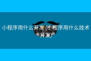 小程序用什么开发 (小程序用什么技术开发)
