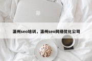 温州seo培训，温州seo网络优化公司