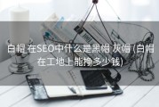 白帽 在SEO中什么是黑帽 灰帽 (白帽在工地上能挣多少钱)