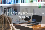 shell 详细介绍黑帽SEO中的web (shell详细教程)