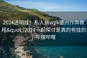 2024透明挂！私人局wpk德州作弊教程&quot;(2024一起探讨是真的有挂的)-哔哩哔哩