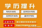网站提升有哪三种方式 (如何提升网站性能)