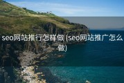 seo网站推行怎样做 (seo网站推广怎么做)