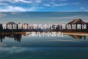 曹植是曹操的第几个儿子 (曹植是曹操的第几个小孩子)