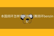 本国鸽环怎样查问效果 (赛鸽环benzing)