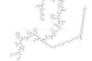 Semaglutide 口服司美格鲁肽 忌讳及反作用说明 转发收藏~ 的药物说明书 (semaglutide(索马鲁肽))
