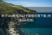 附子seo教程2018千聊版在哪下载 (附子seo视频)