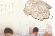 从甲骨文到楷书，中国文字博物馆带你探寻汉字 3000 年演变历程
