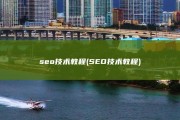 seo技术教程 (SEO技术教程)
