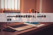 seosem新媒体运营是什么，seo内容运营