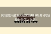 网站提升是怎么经常使用URL的 (网站提升是怎么做的)