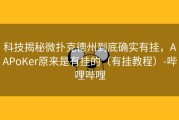 科技揭秘微扑克德州到底确实有挂，AAPoKer原来是有挂的（有挂教程）-哔哩哔哩