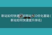 新站如何快速打好网站SEO优化基础 (新站如何快速提升排名)