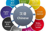 做多语种的网站有什么行之有效的方案 (做多语种的网红有哪些)