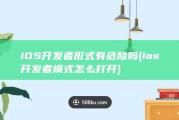 iOS开发者形式有危险吗 (ios开发者模式怎么打开)