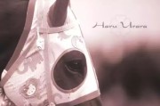 日本骑手届的乔丹：连败105场没有一次拿过第一