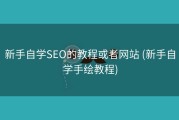 新手自学SEO的教程或者网站 (新手自学手绘教程)