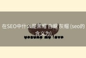 在SEO中什么是黑帽 白帽 灰帽 (seo的含义为)