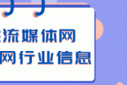 B站 跨年晚会：现象级晚会与媒体融合的重要分野