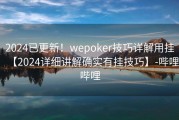 2024已更新！wepoker技巧详解用挂【2024详细讲解确实有挂技巧】-哔哩哔哩