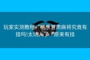 玩家实测教程“桃乐甘肃麻将究竟有挂吗!太坑人了“原来有挂