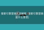 搜索引擎营销名词解释 (搜索引擎营销是什么意思)