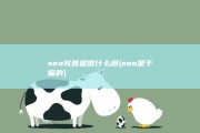 seo究竟是做什么呀 (seo是干嘛的)
