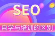 新手seo如何极速入门seo入门教程 (新手seo如何操作)