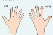 如何手动口头TRIM指令缓解固态硬盘掉速 (口头怎么样)
