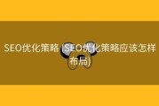 SEO优化策略 (SEO优化策略应该怎样布局)