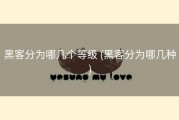 黑客分为哪几个等级 (黑客分为哪几种)