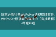 玩家必看科普WePoKer透视底牌软件，WePoKer原来真的有挂的（有挂教程）-哔哩哔哩