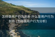 怎样做用户行为剖析 什么是用户行为剖析 (怎样做用户行为分析)